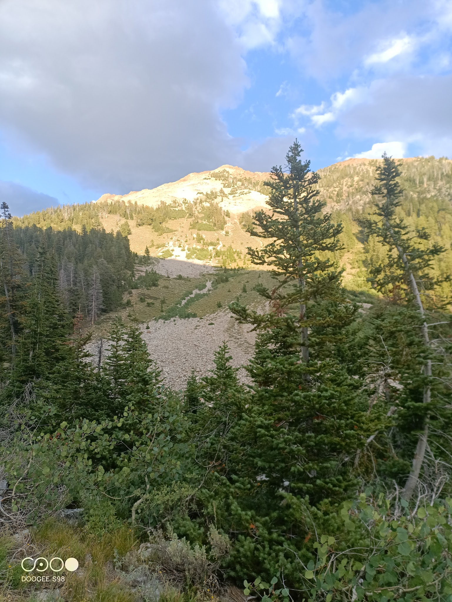 Federal Gulch Campground And Trailhead