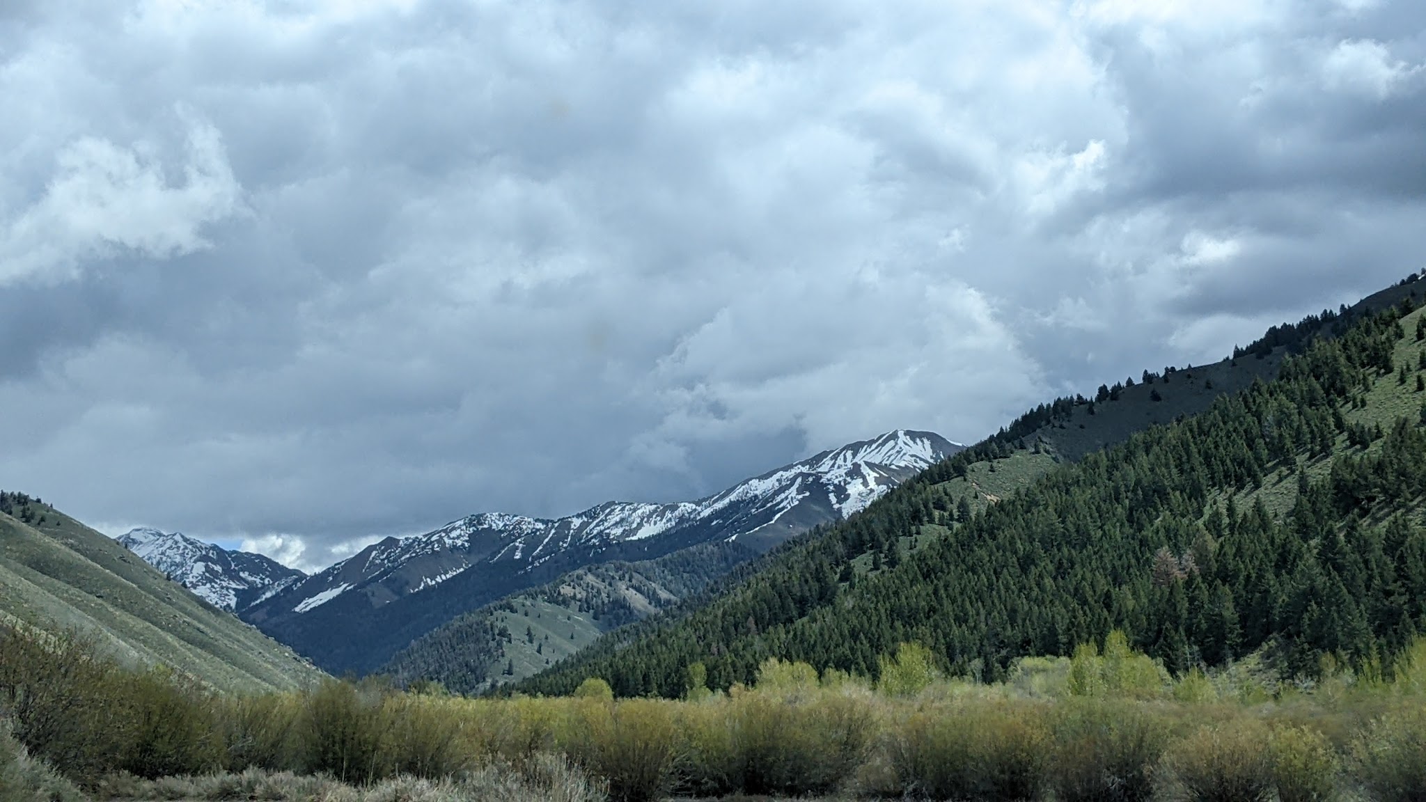 Federal Gulch Campground And Trailhead