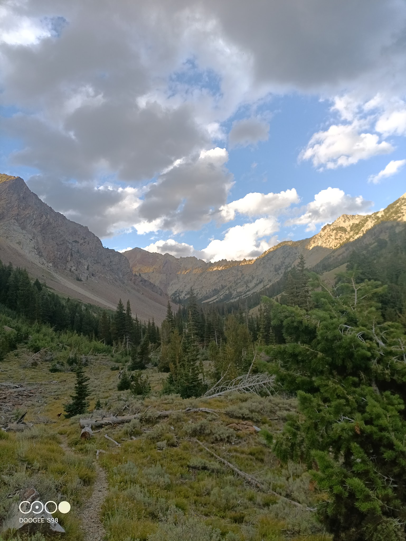 Federal Gulch Campground And Trailhead