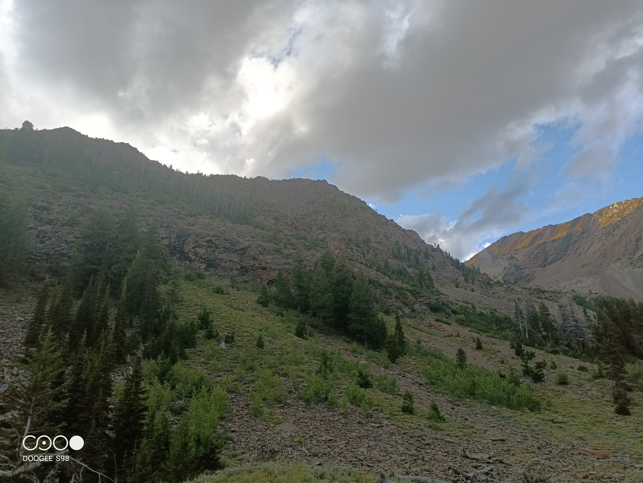 Federal Gulch Campground And Trailhead