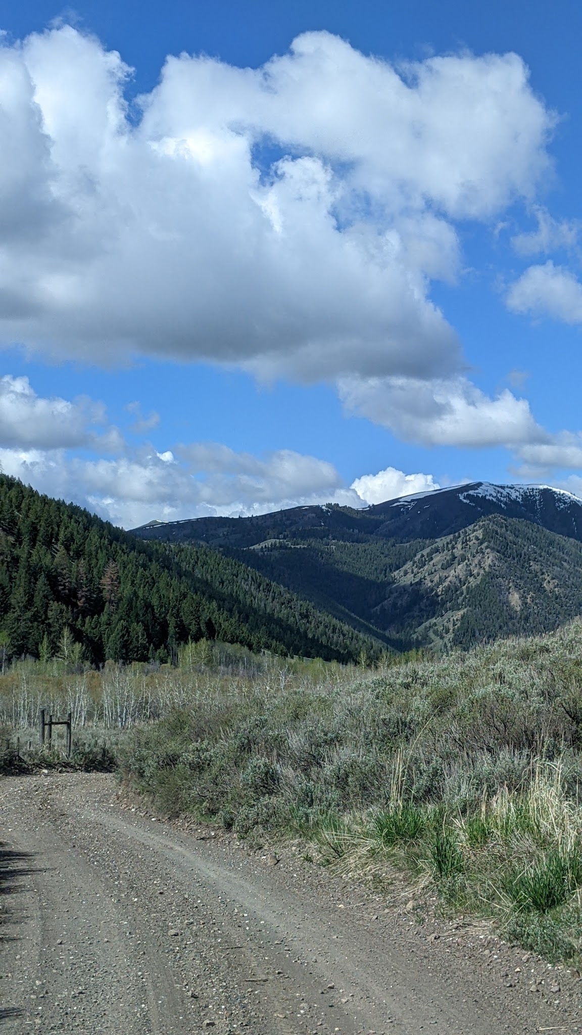Federal Gulch Campground And Trailhead