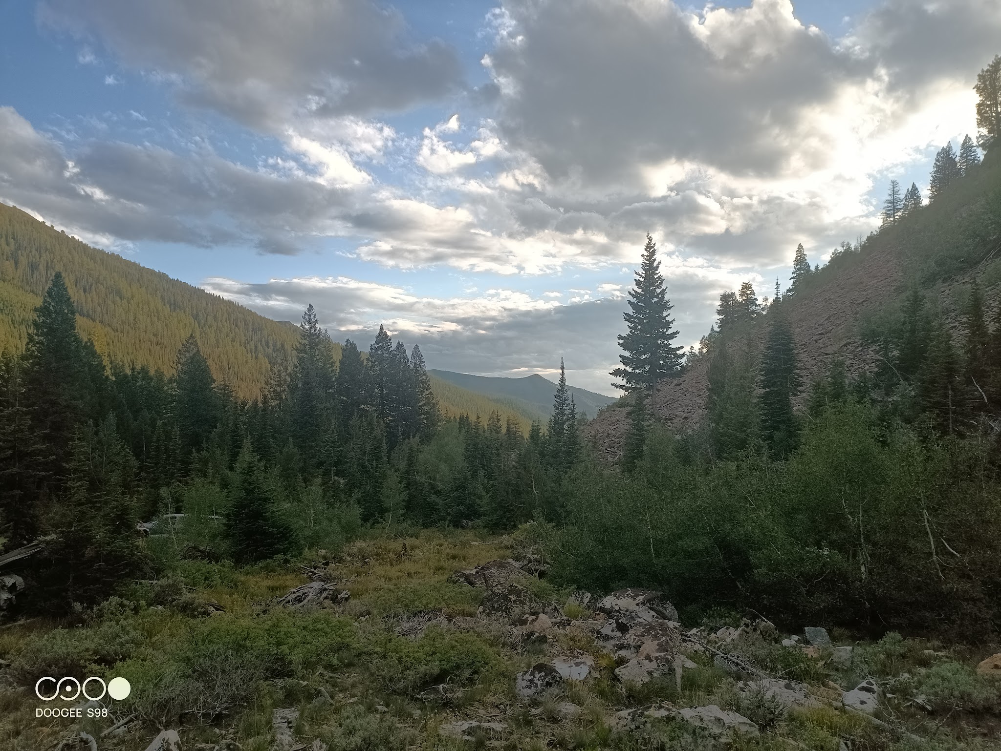 Federal Gulch Campground And Trailhead
