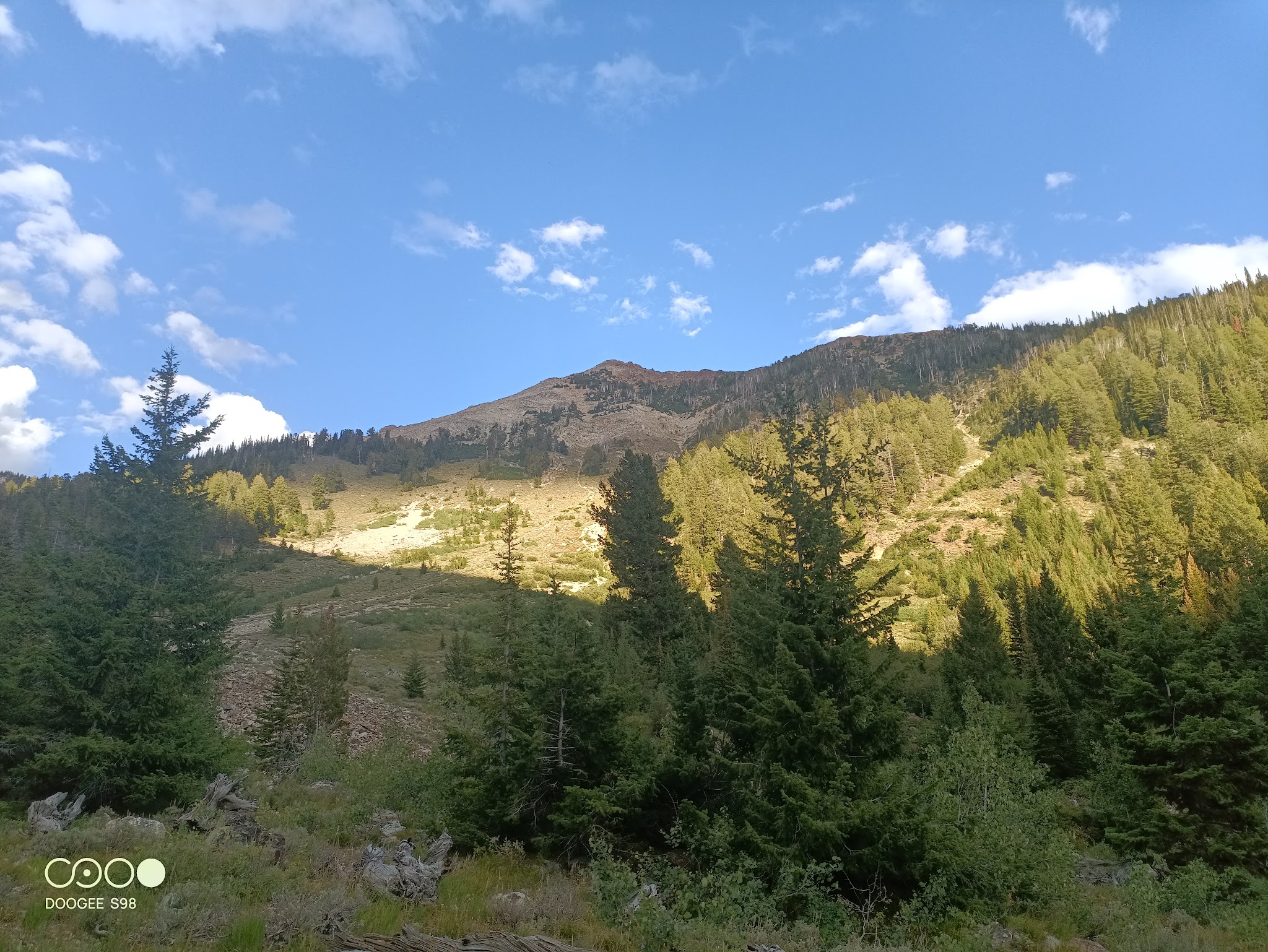 Federal Gulch Campground And Trailhead