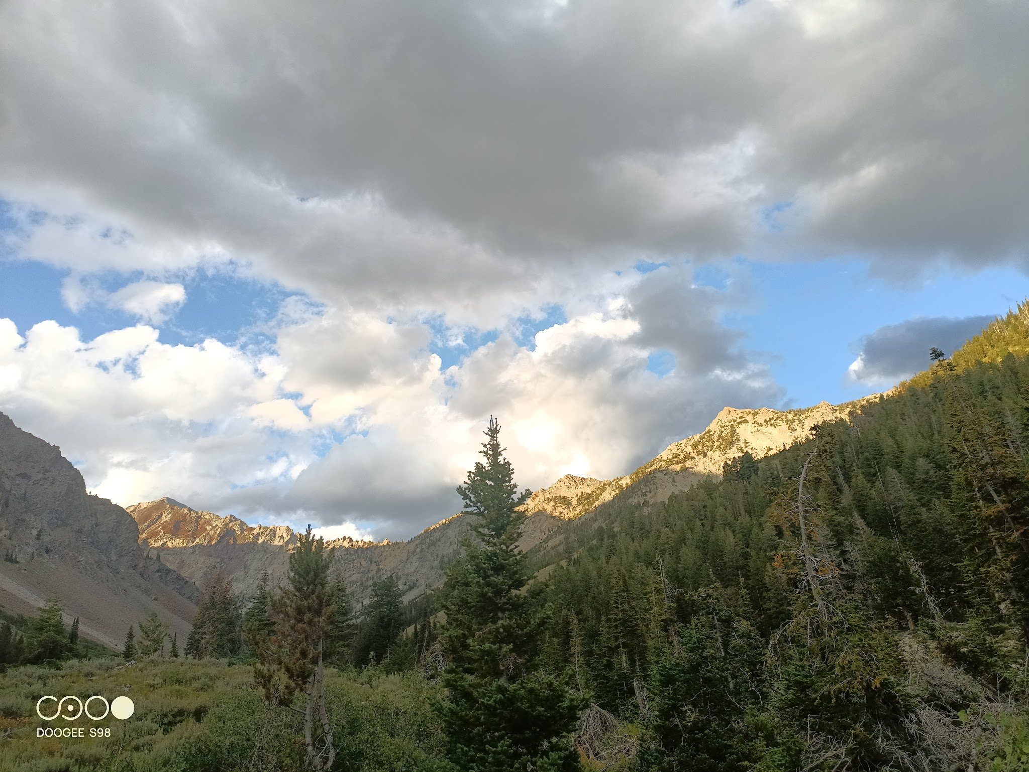 Federal Gulch Campground And Trailhead