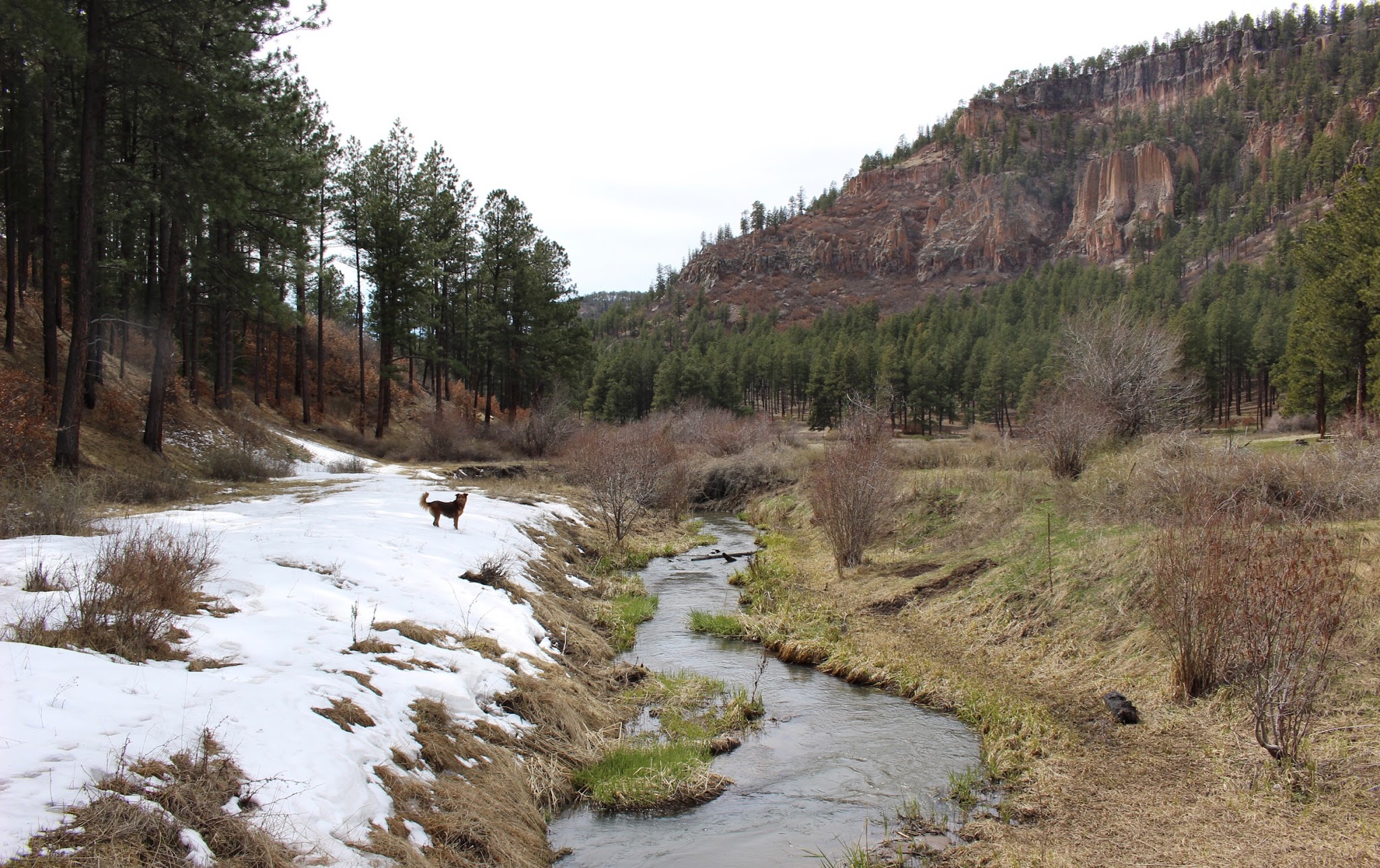 Fenton Lake State Park
