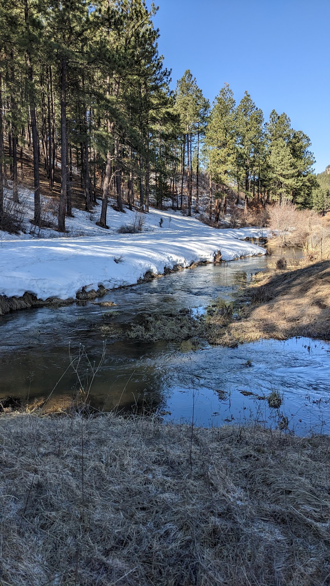 Fenton Lake State Park