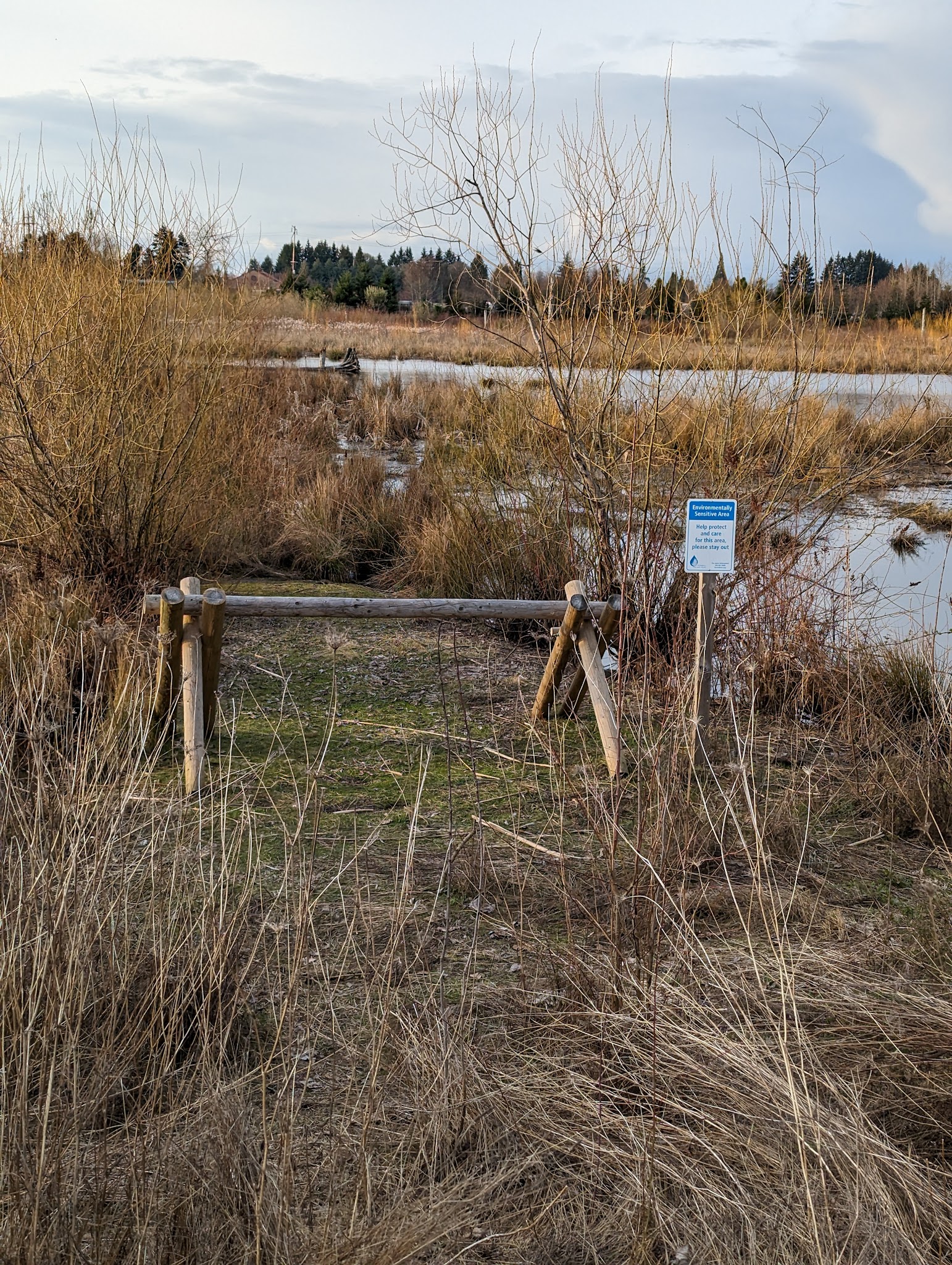 Fern Hill Forest Natural Sup Campground