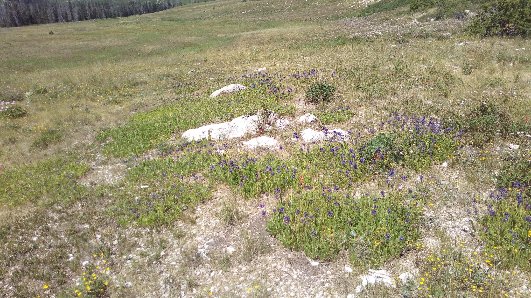 Ferron Reservoir Campground Ferron North