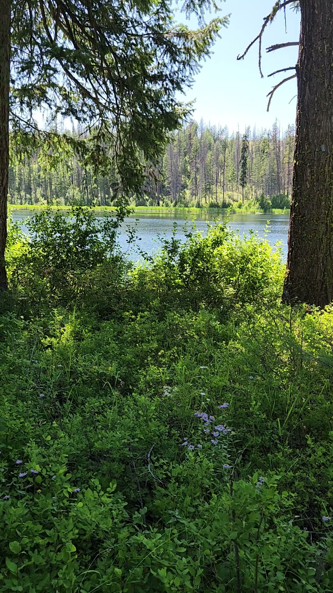 Ferry Lake Campground