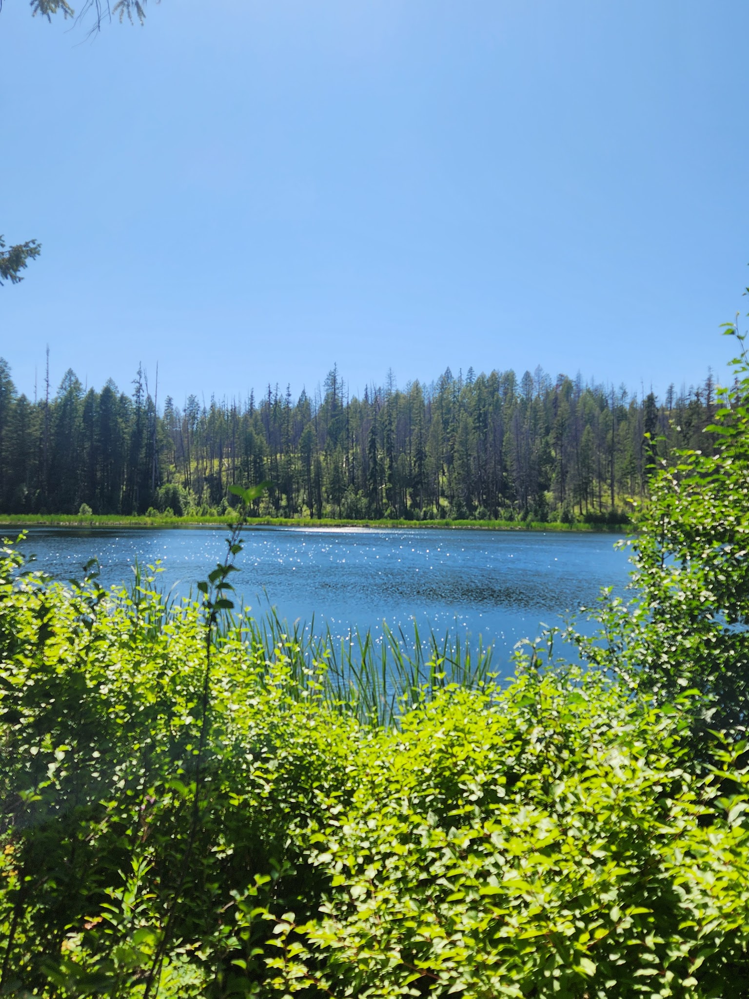 Ferry Lake Campground