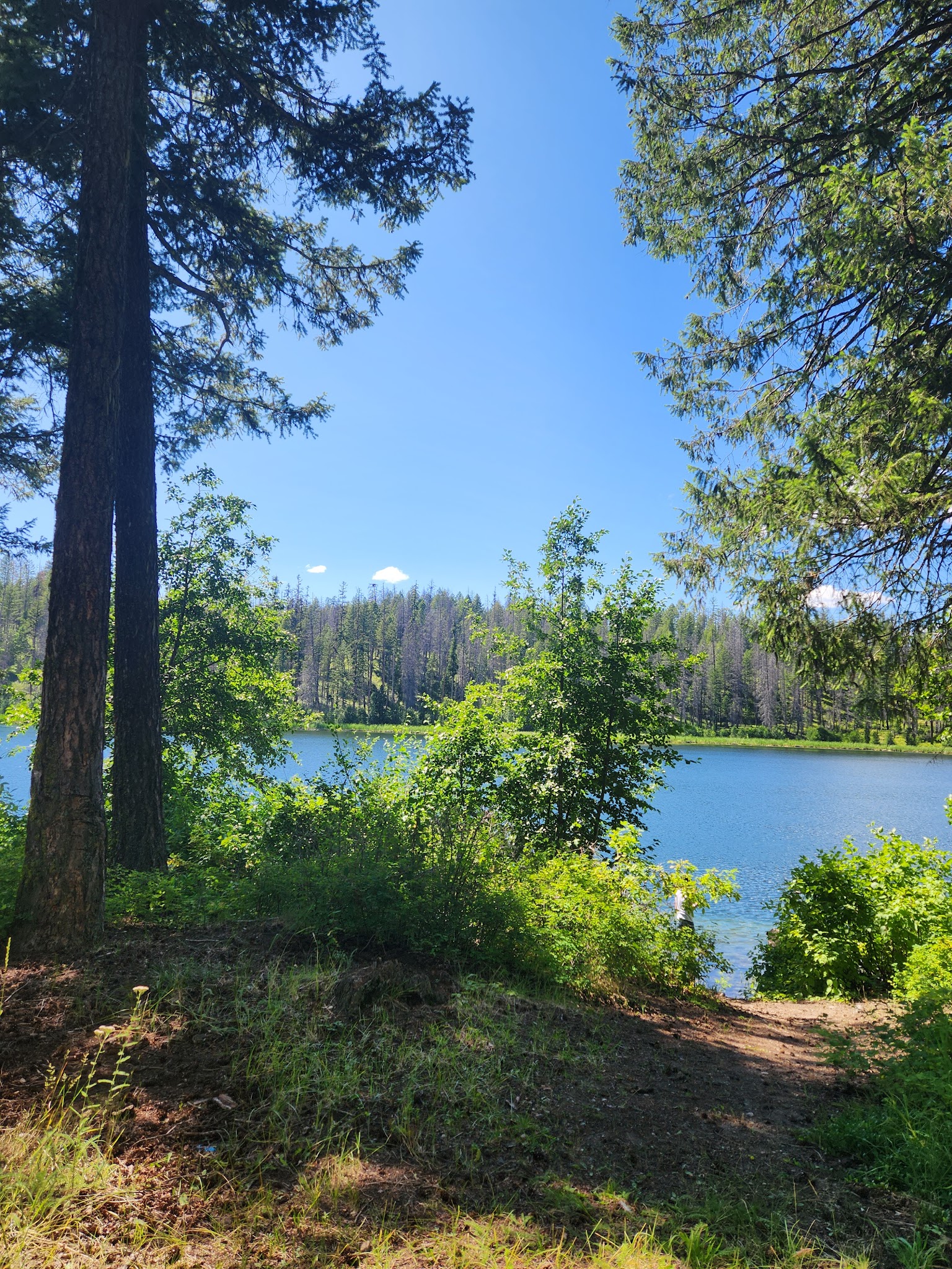 Ferry Lake Campground