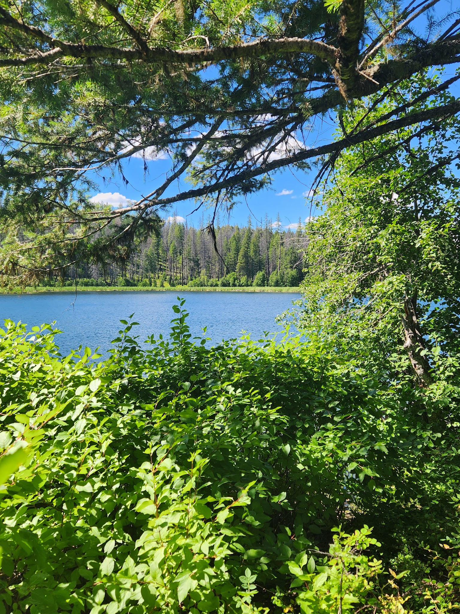 Ferry Lake Campground