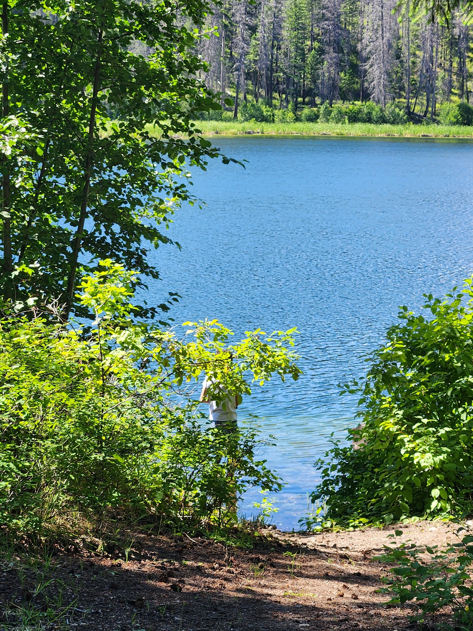 Ferry Lake Campground
