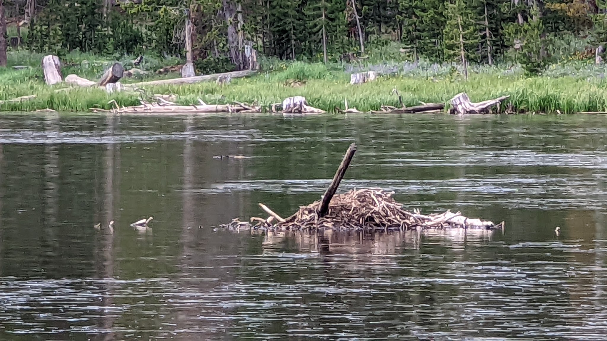 Fiddlers Lake Campground