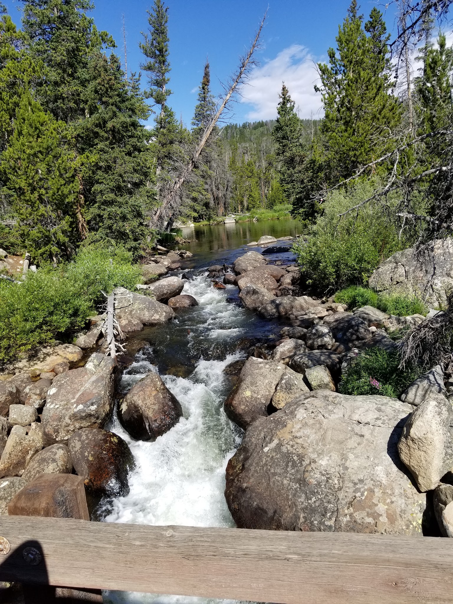 Fiddlers Lake Campground