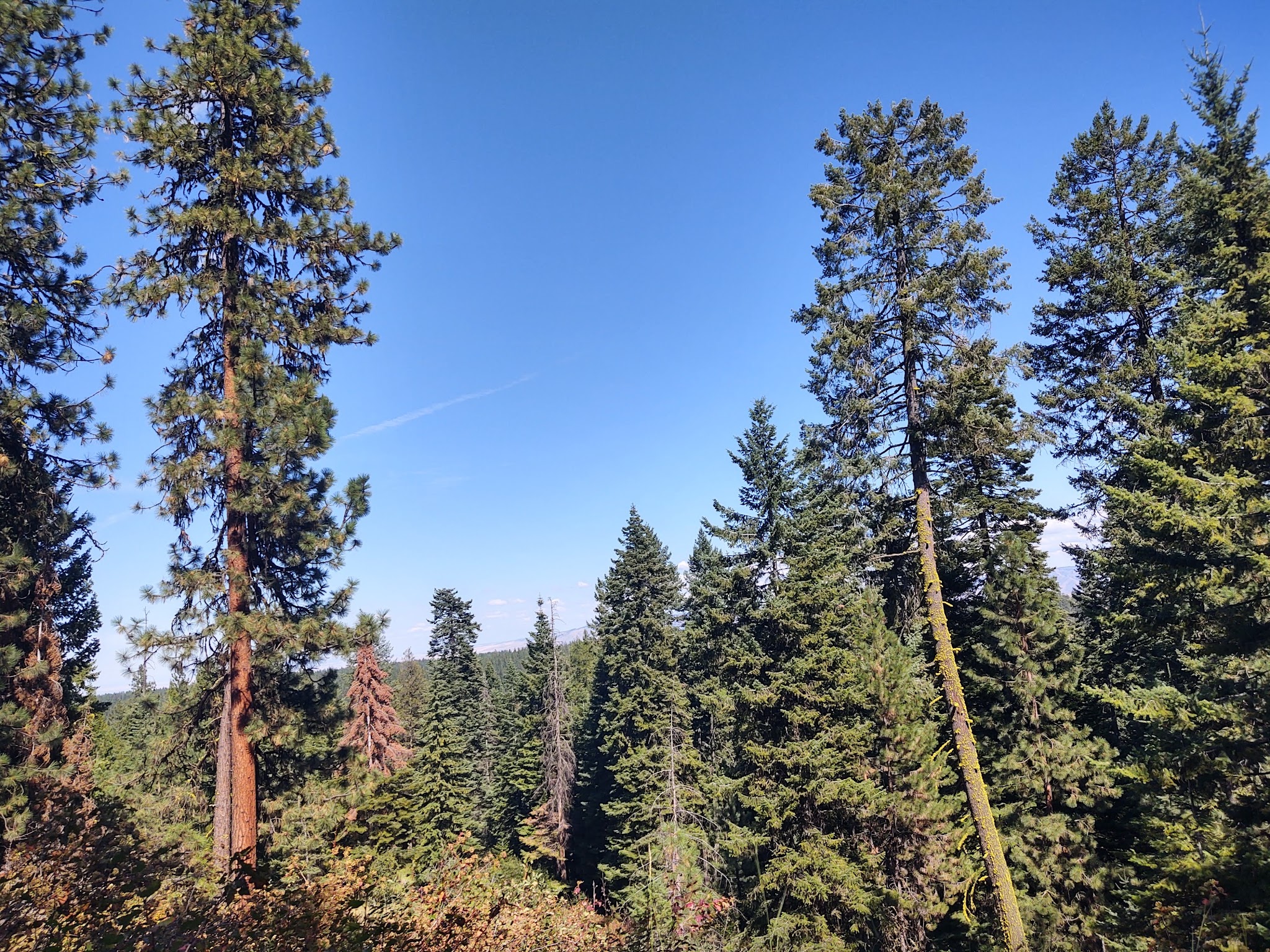 Fields Spring State Park