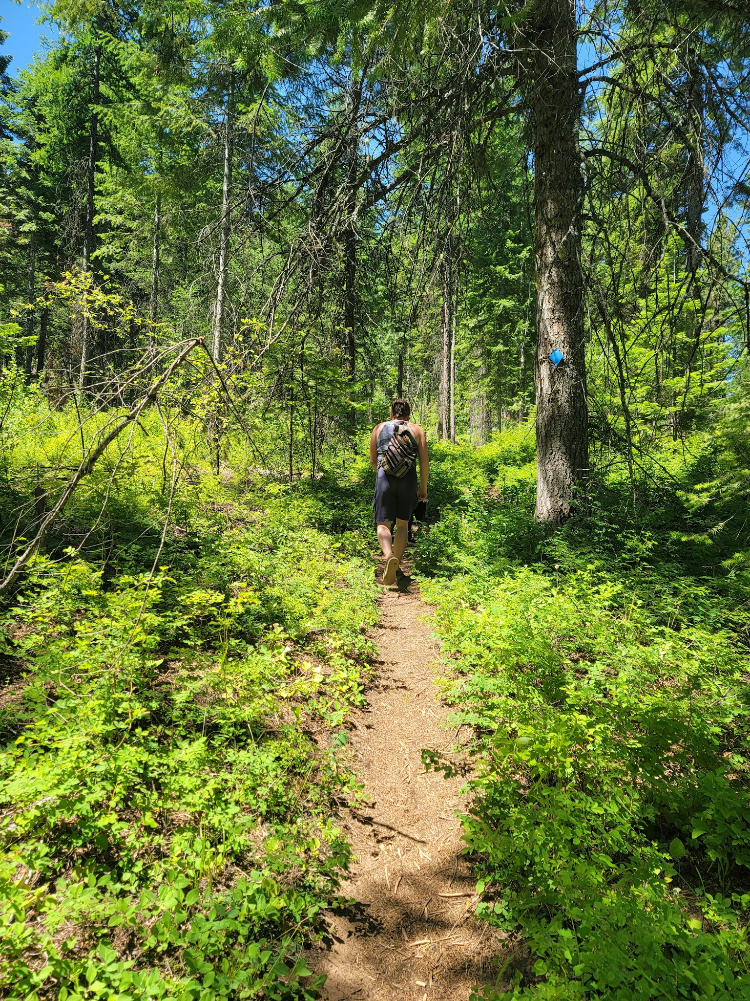 Fields Spring State Park