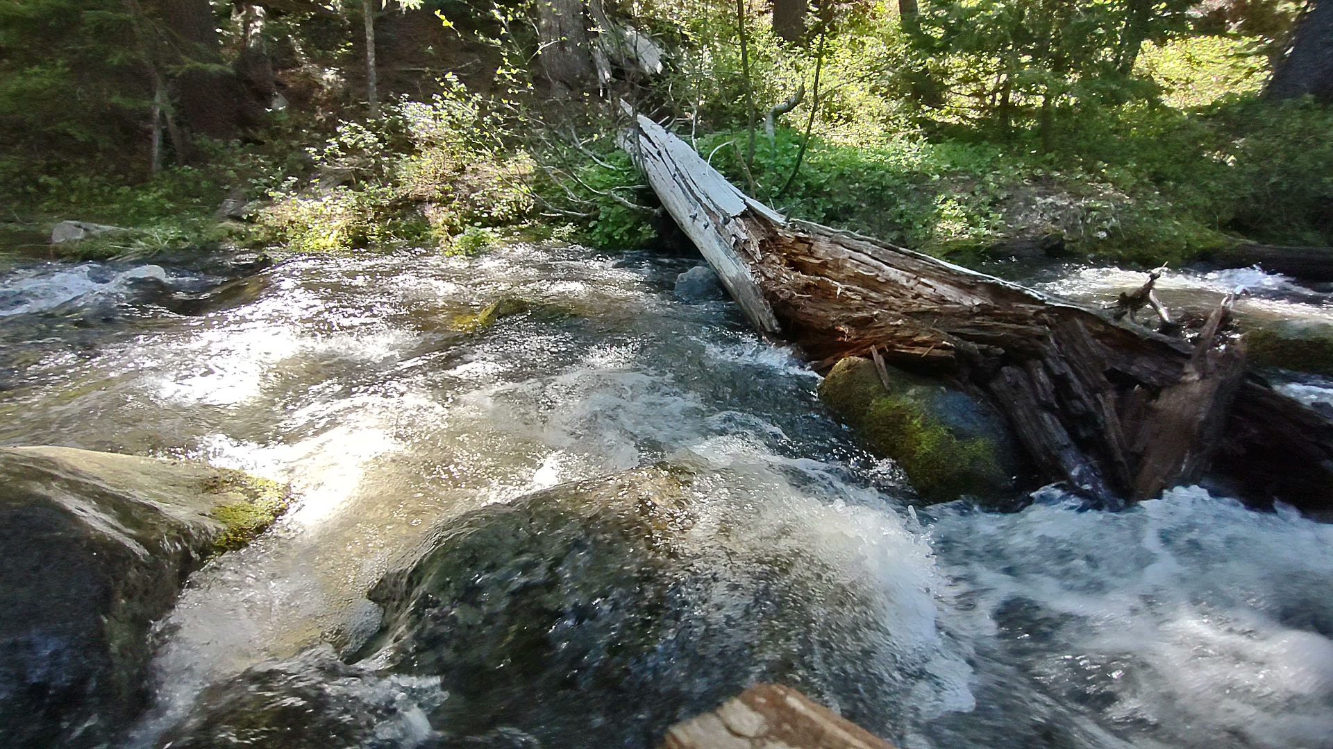 Fifteenmile Campground