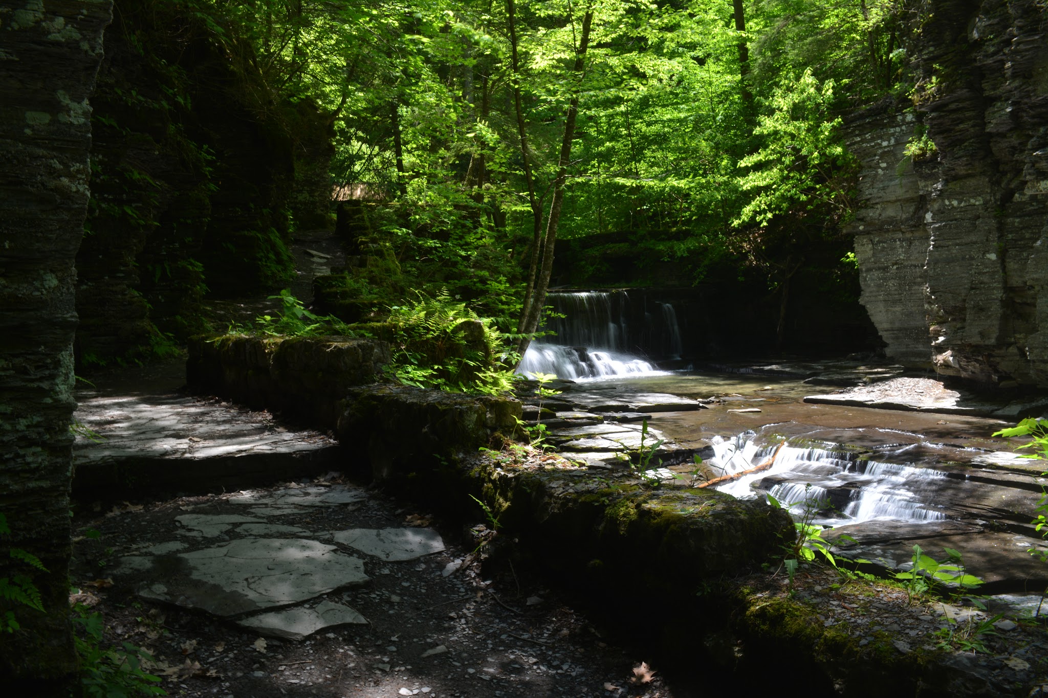 Fillmore Glen State Park