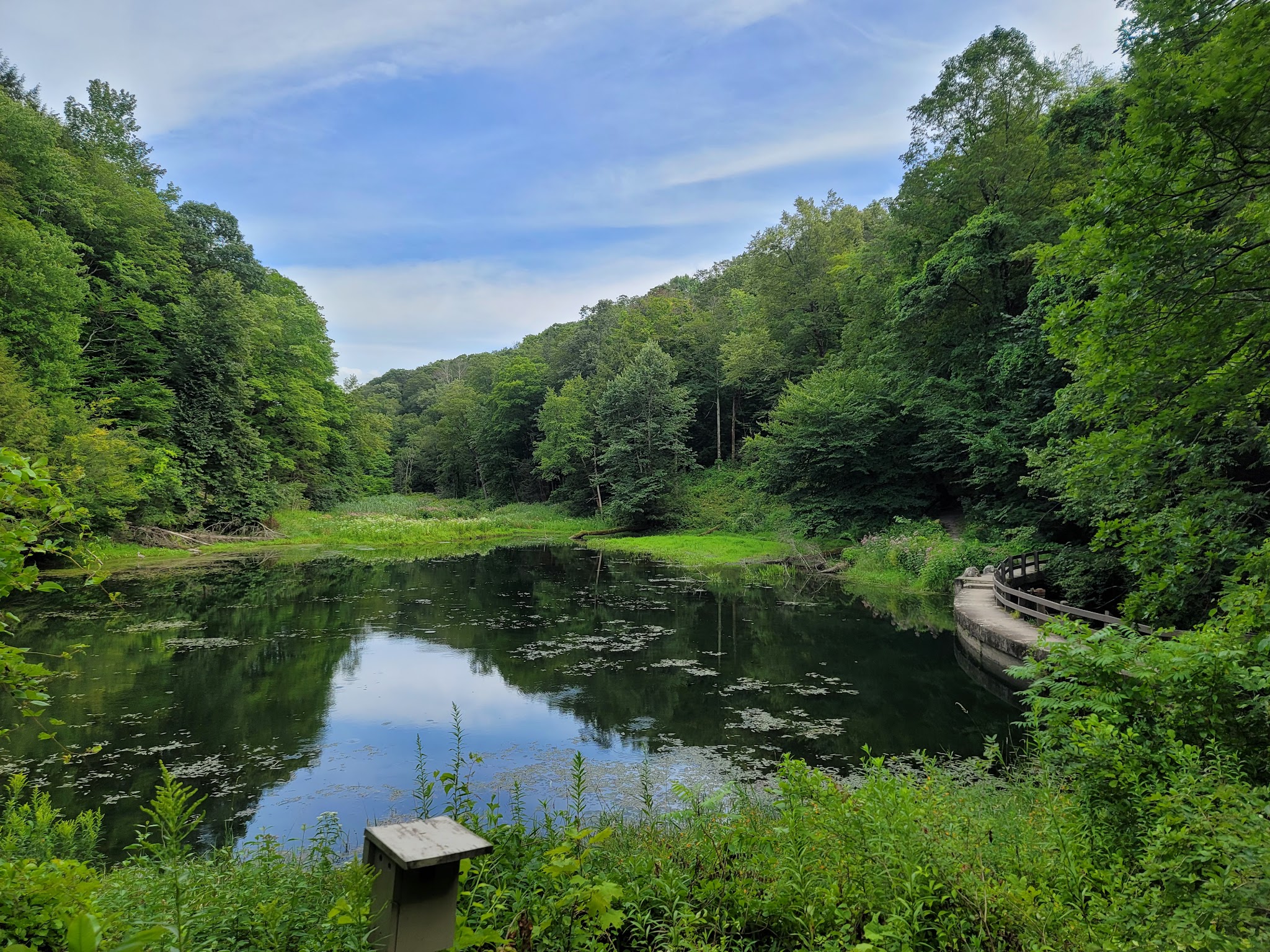 Fillmore Glen State Park