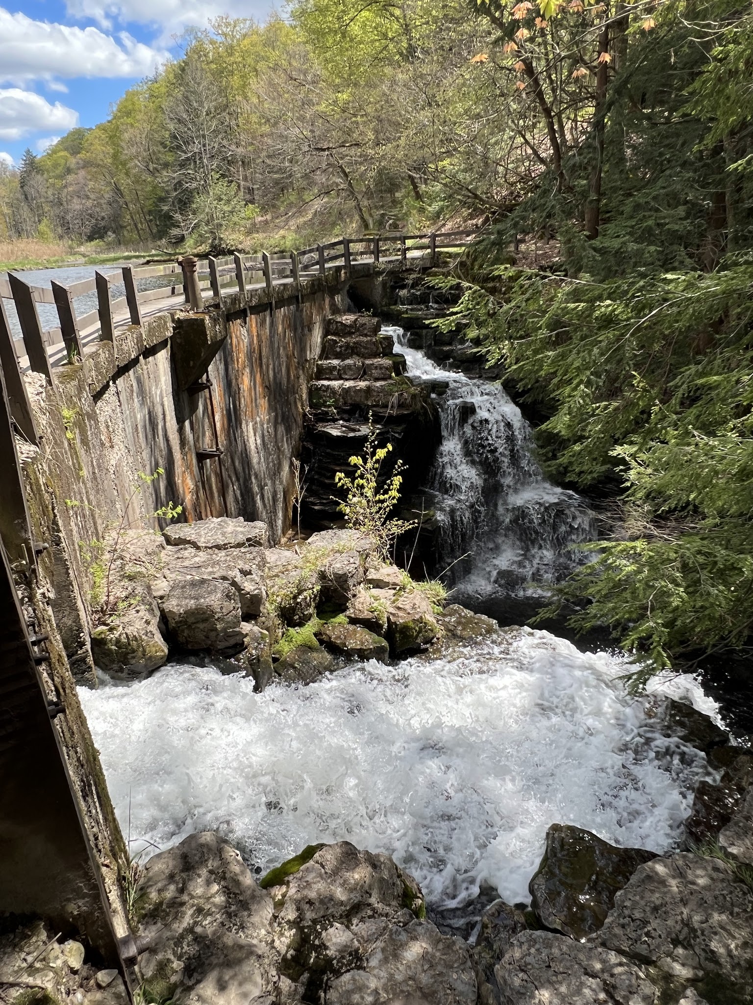 Fillmore Glen State Park