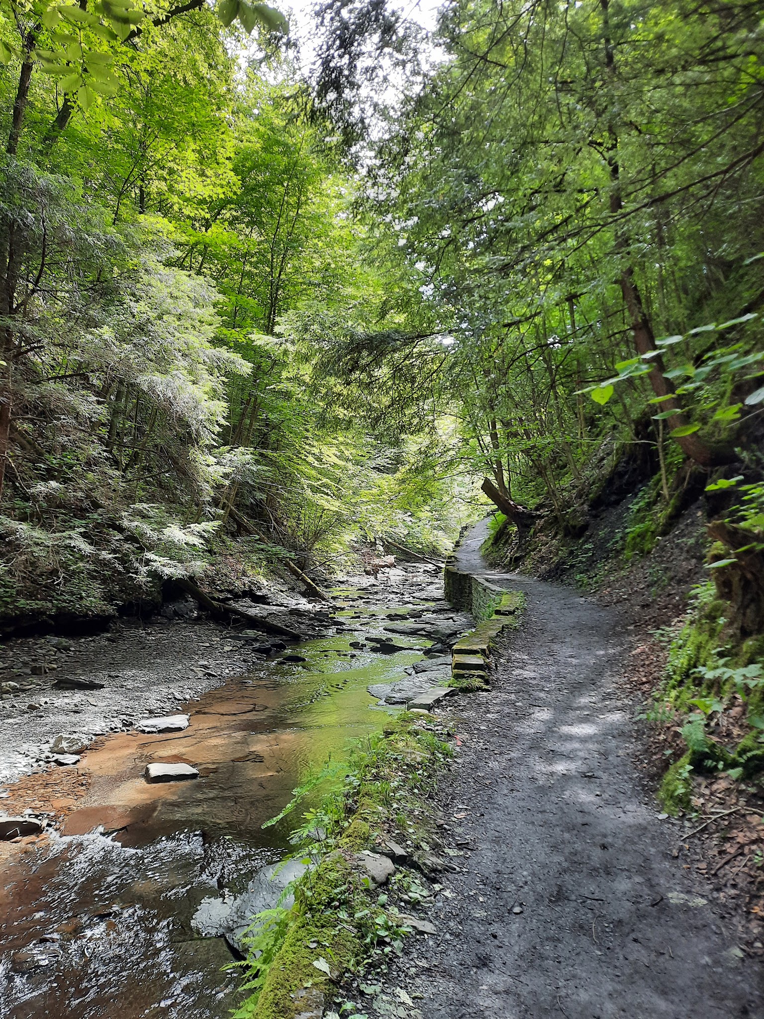 Fillmore Glen State Park
