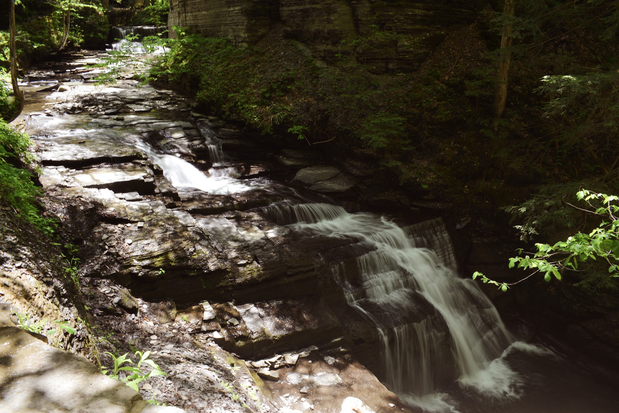 Fillmore Glen State Park