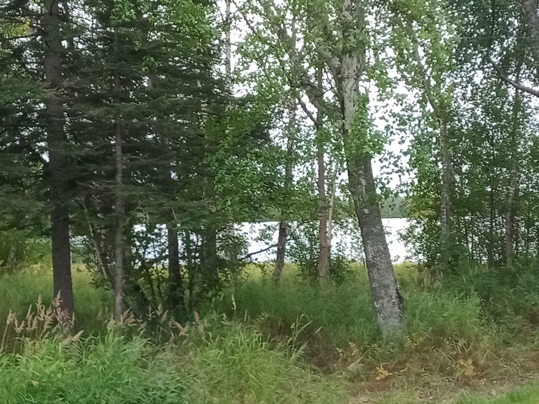 Finger Lake State Recreation Site