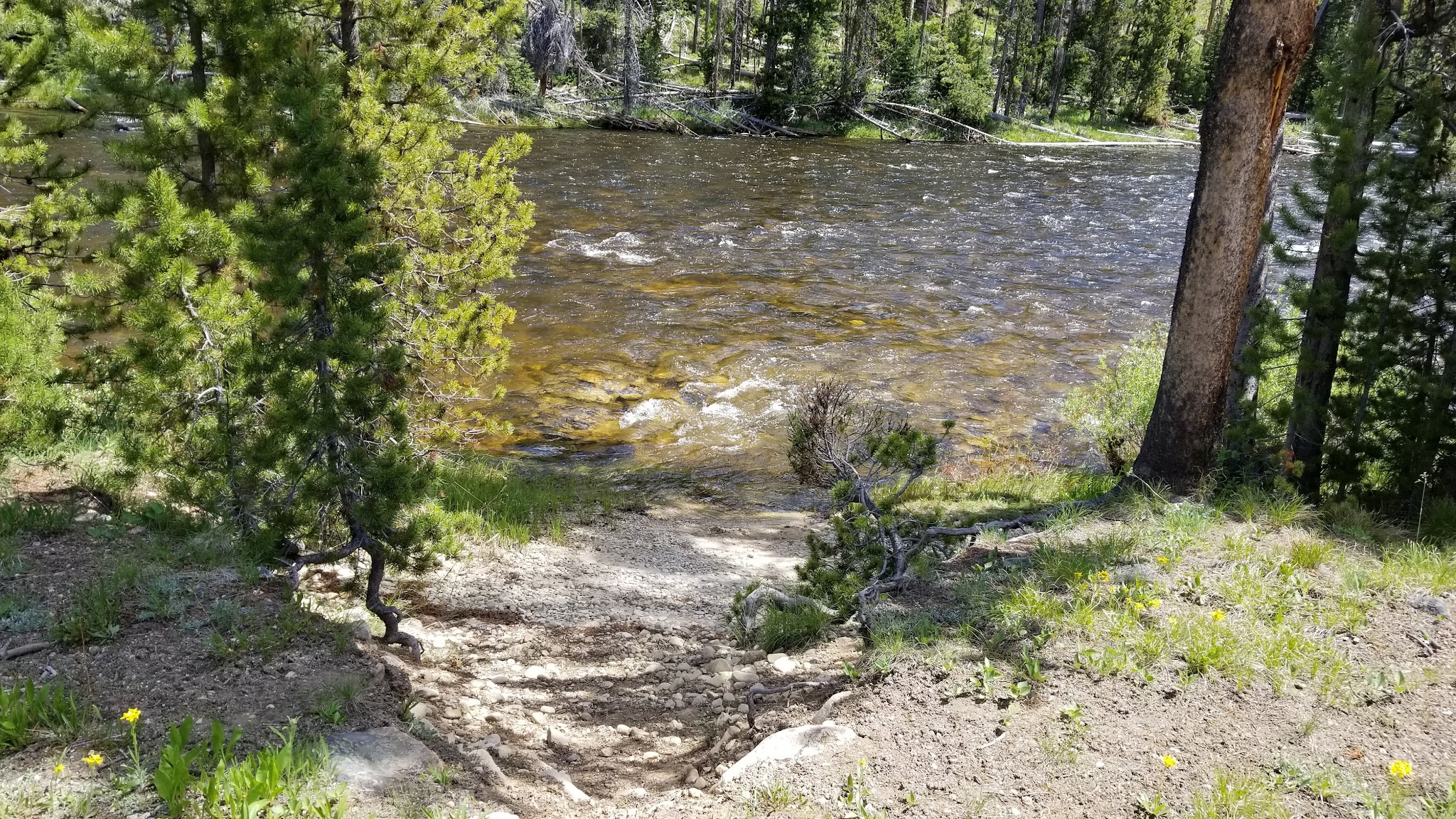 Fir Creek Campground