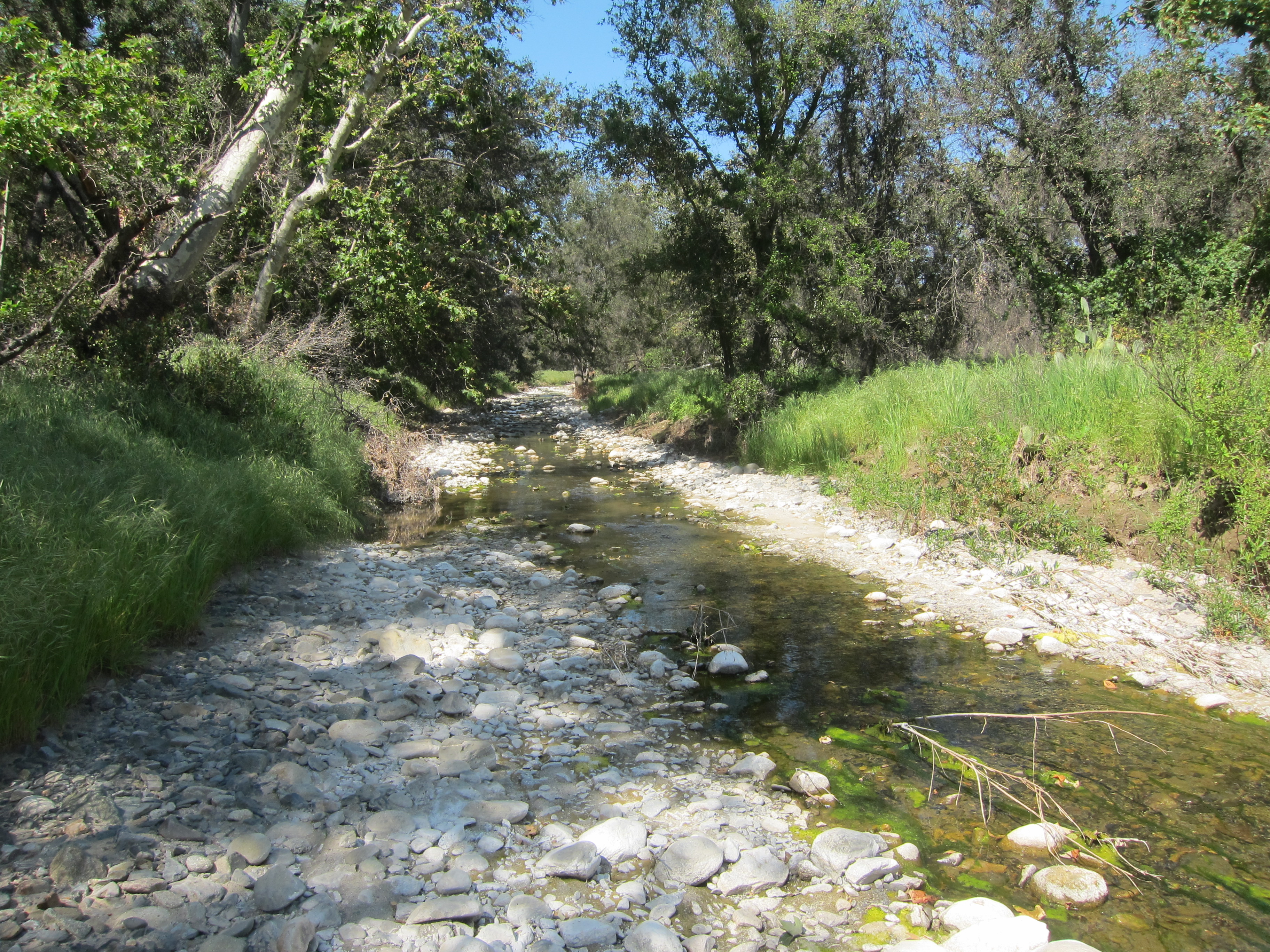 Ronald W. Caspers Wilderness Park