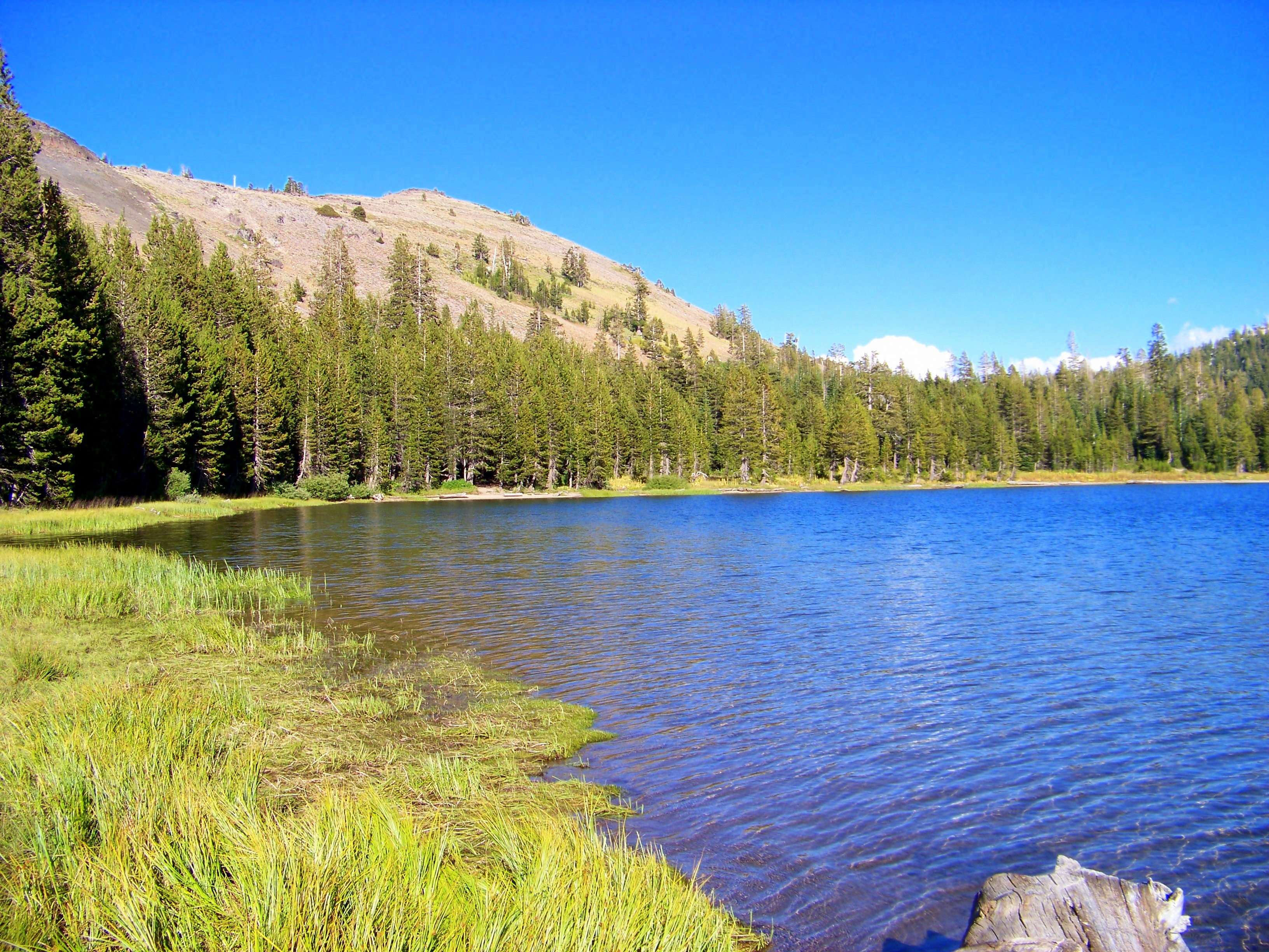 White Rock Lake Campground