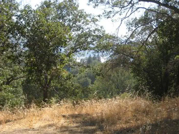 Northshore Campground