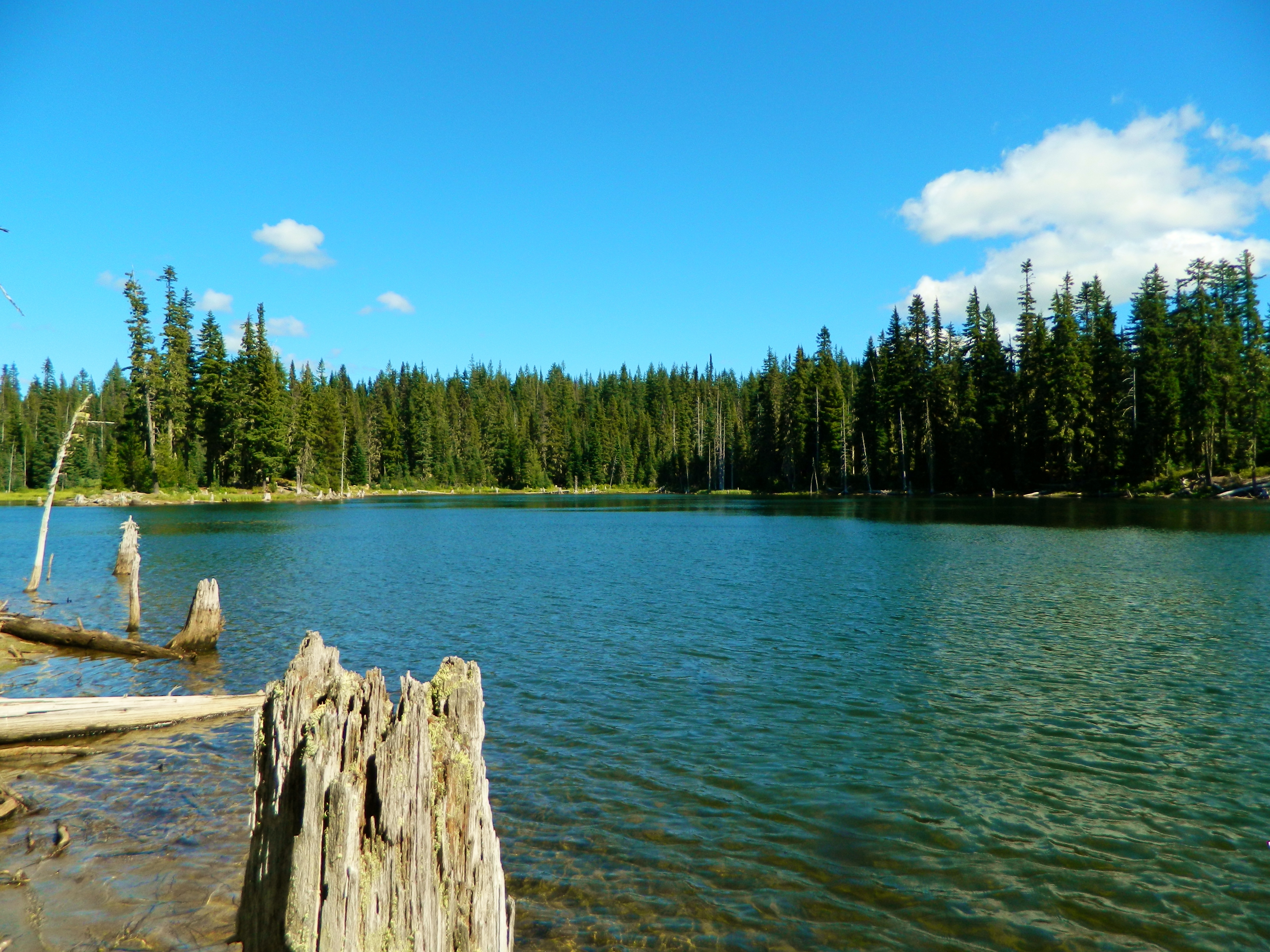 Horseshoe Lake Campground