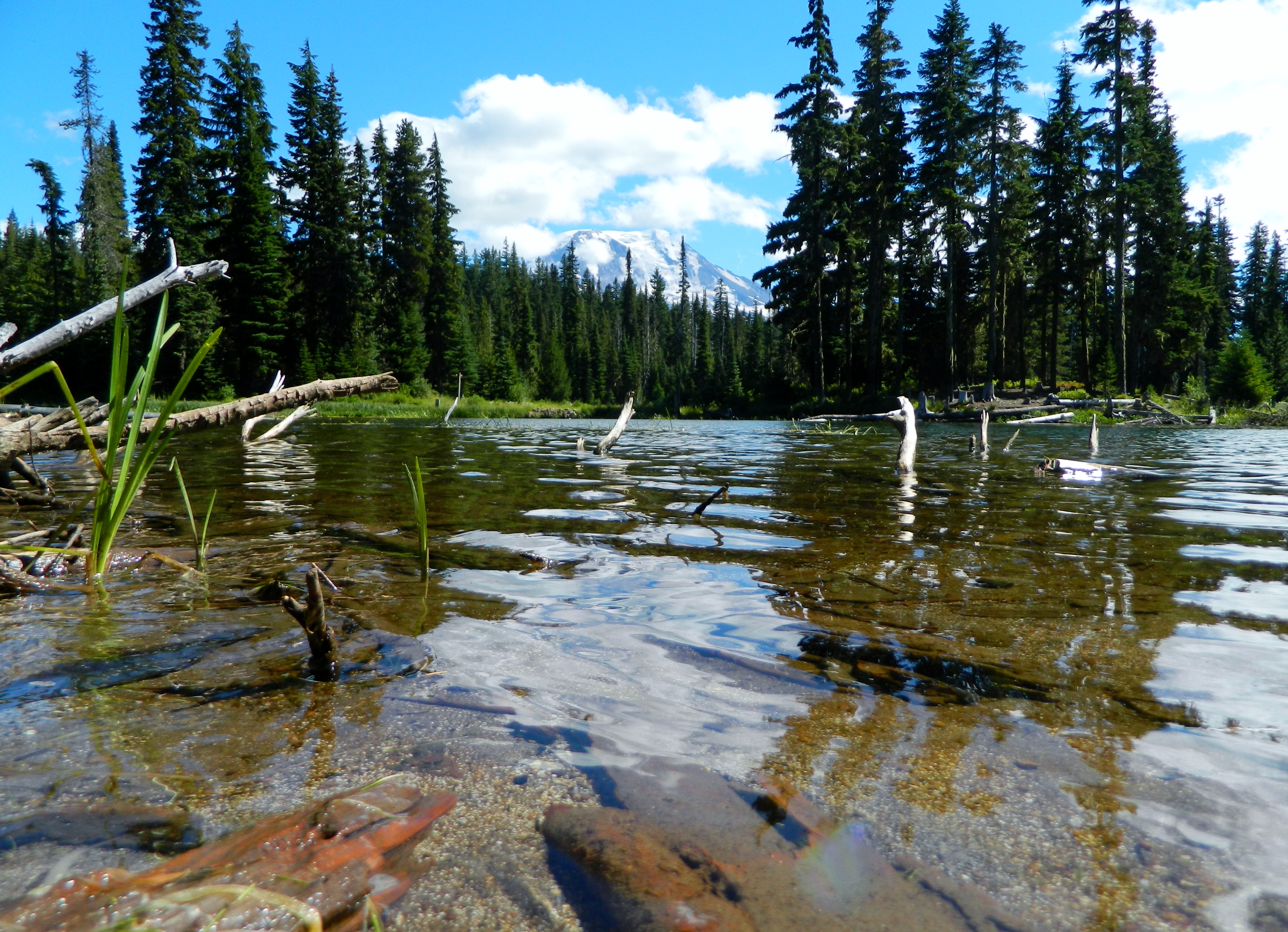Horseshoe Lake Campground