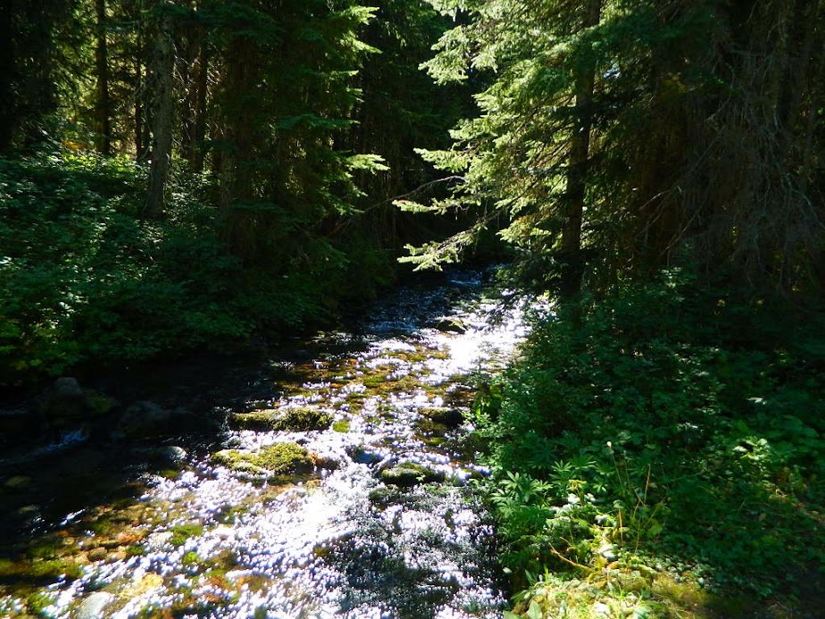 Killen Creek Campground