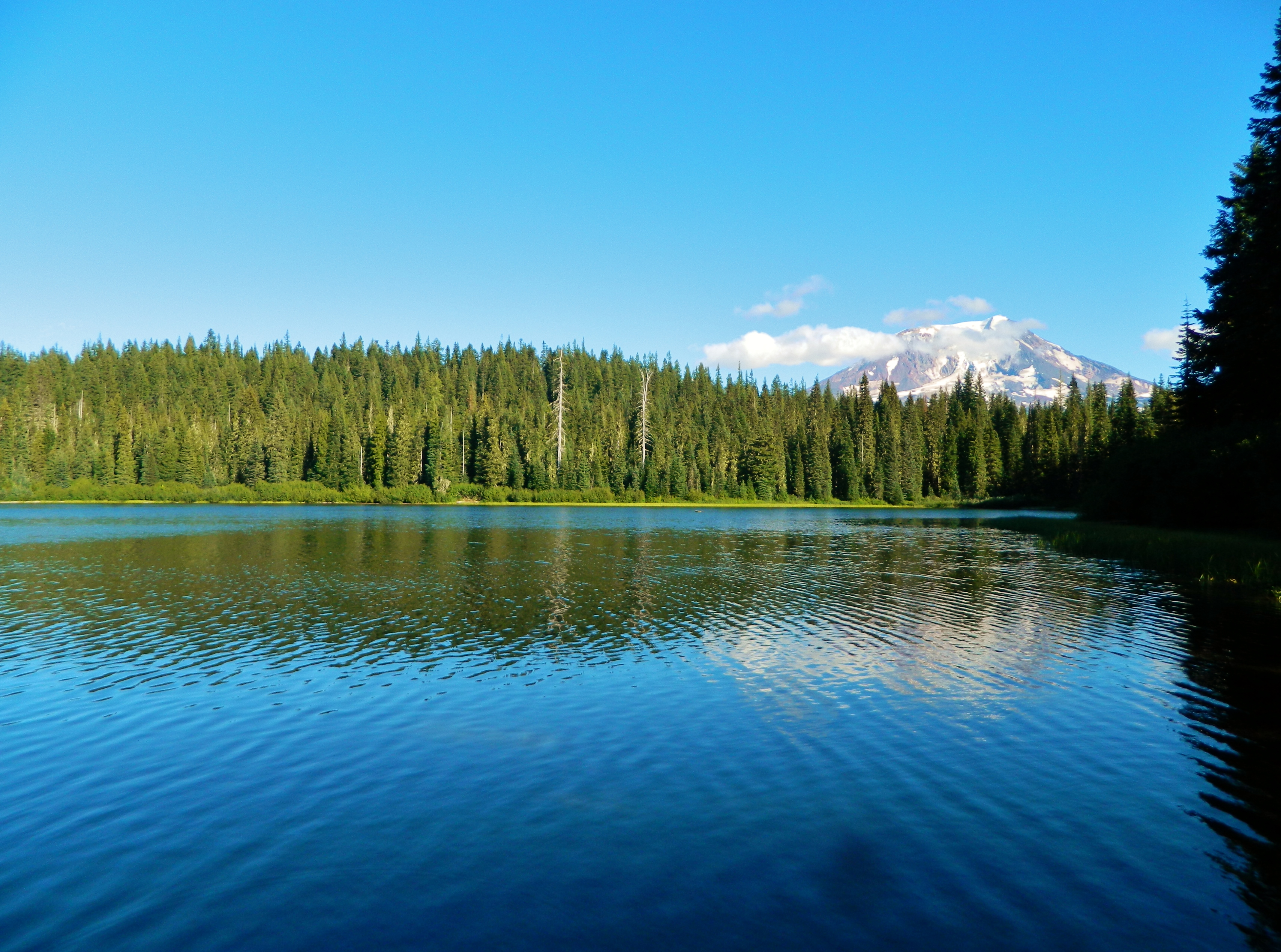 Olallie Lake Campground