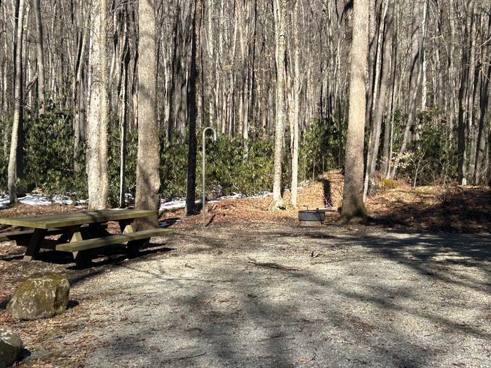 Tea Creek Campground