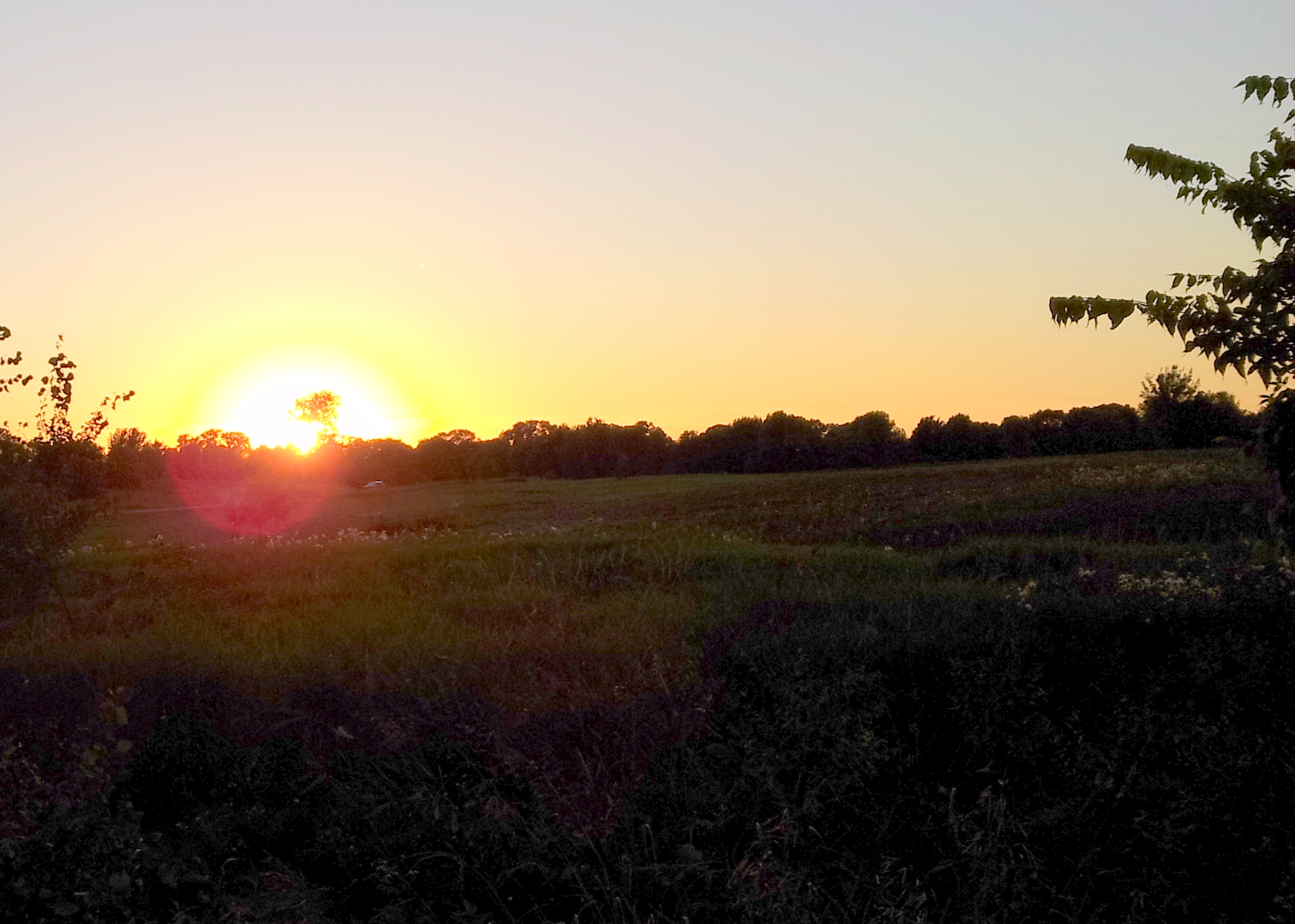 Lake Elmo Park Reserve