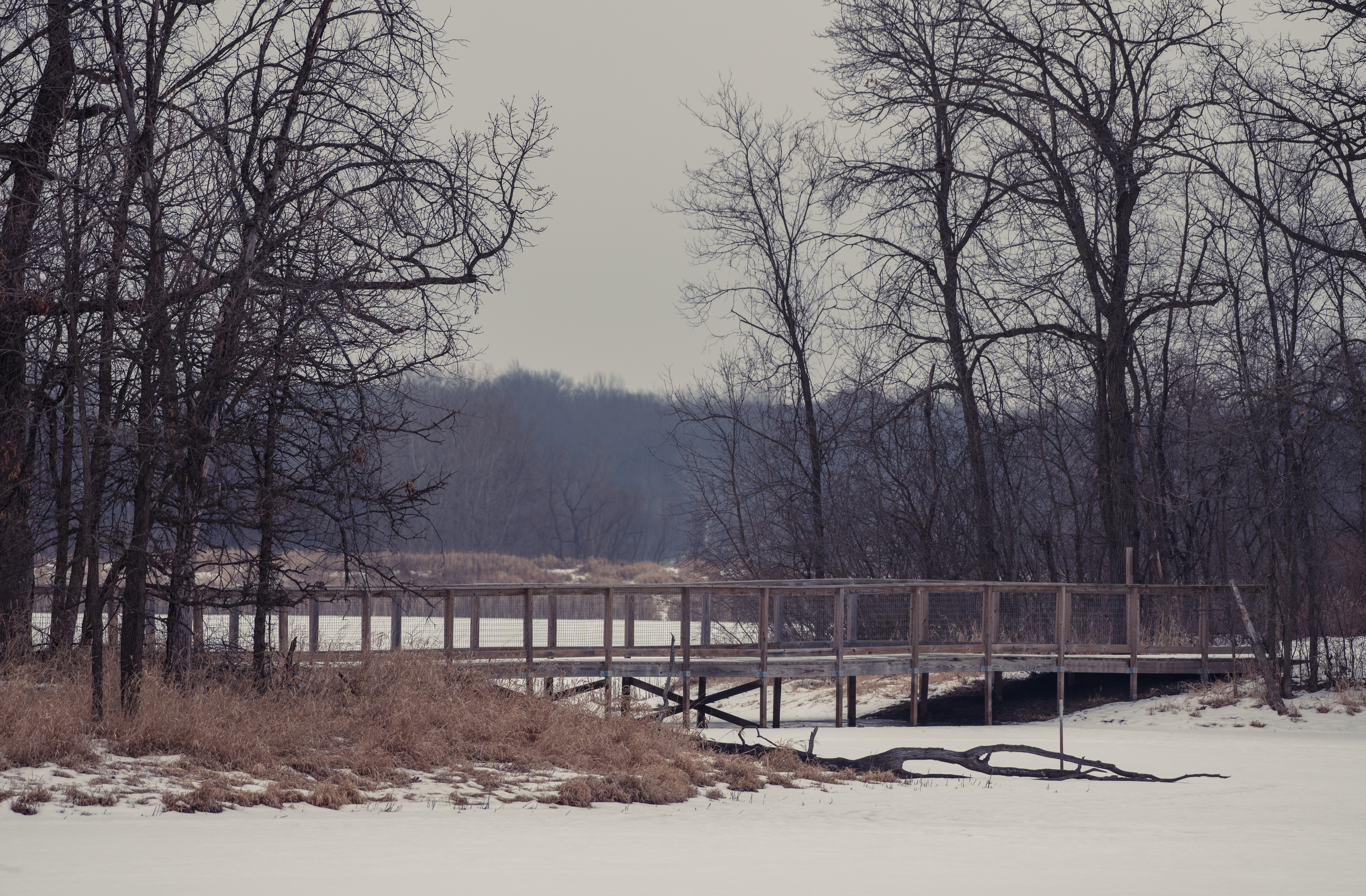 Lake Elmo Park Reserve