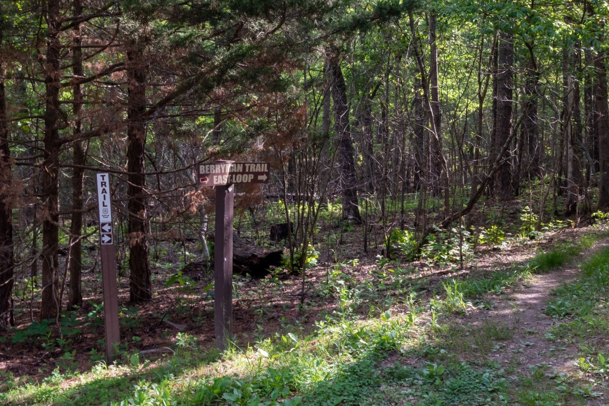 Berryman Campground