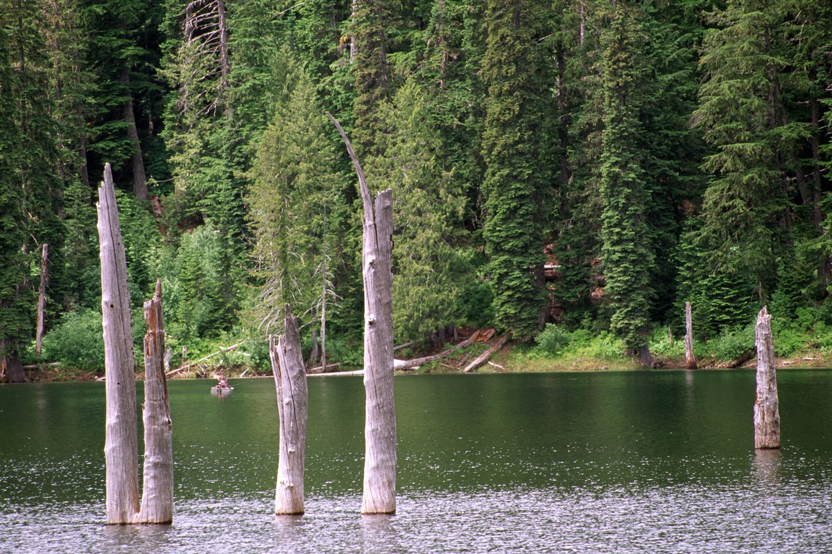 Campground: Goose Lake