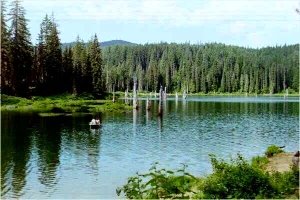 Campground: Goose Lake
