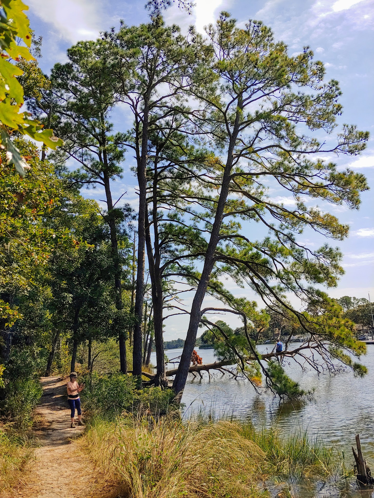 B - Collier Campground