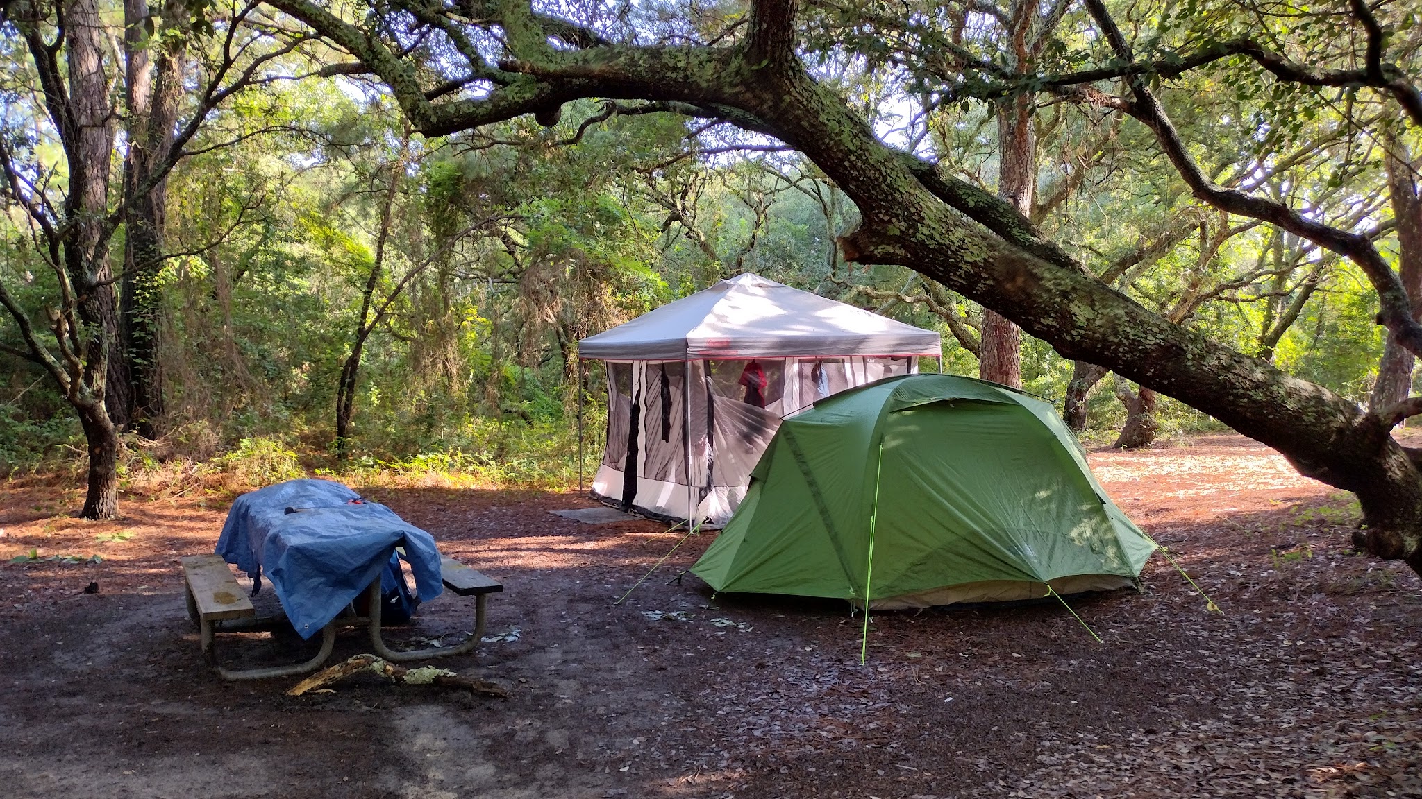 B - Collier Campground