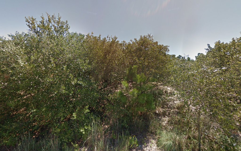 B - Collier Campground