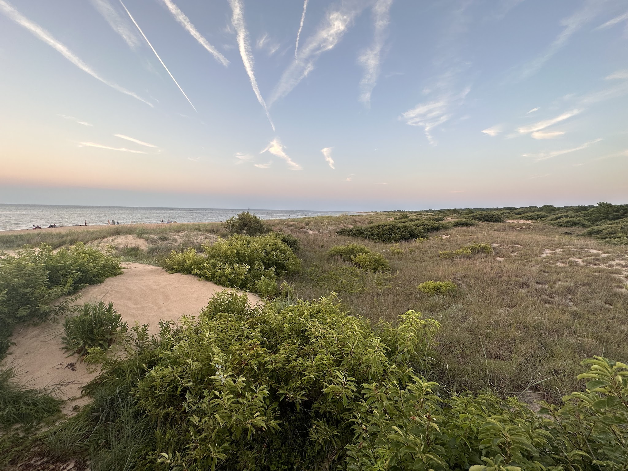 B - Collier Campground