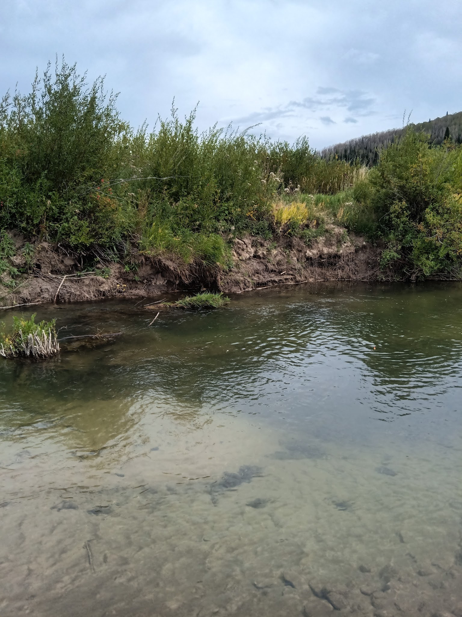 Fish Creek Campground