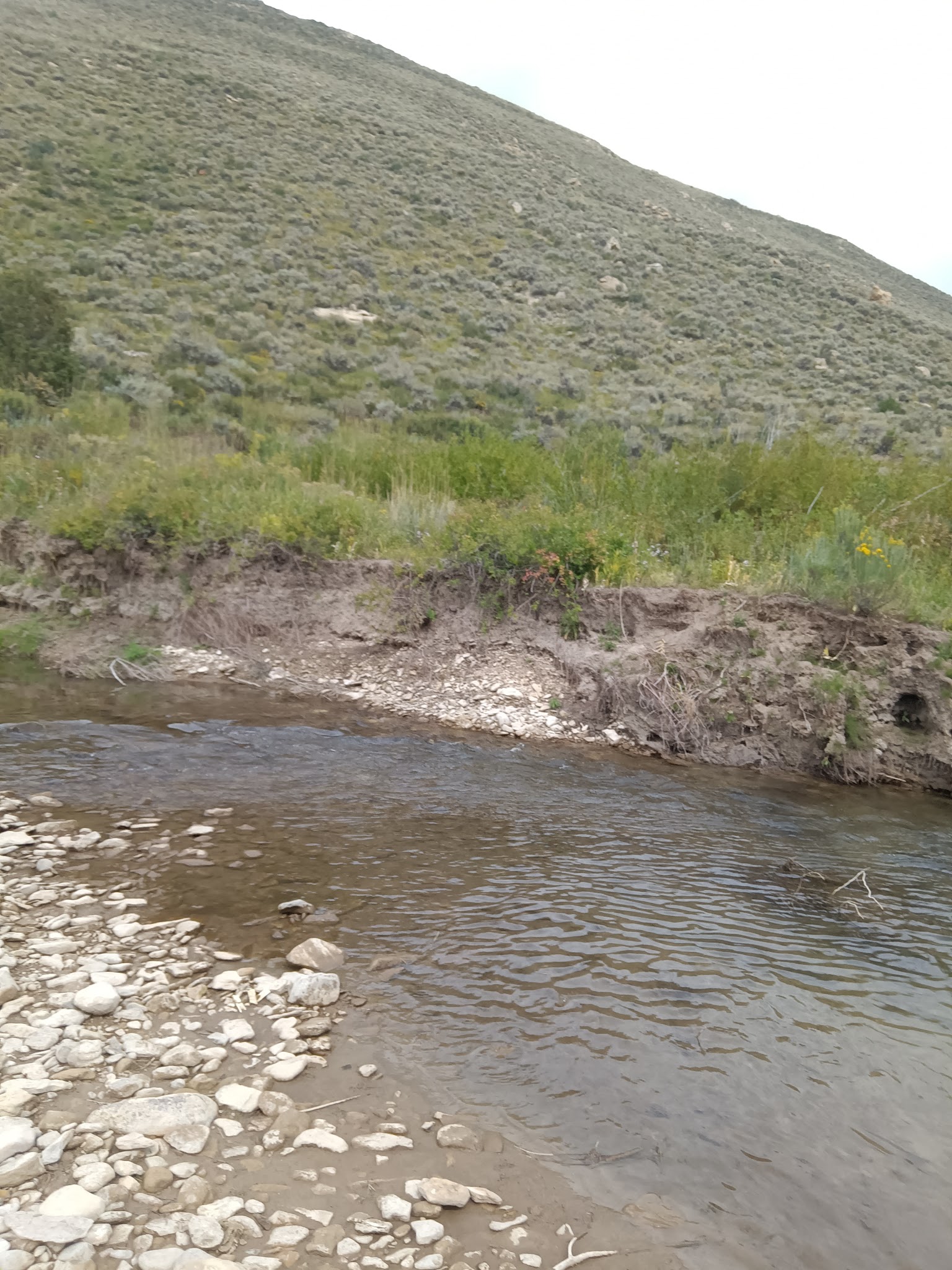 Fish Creek Campground