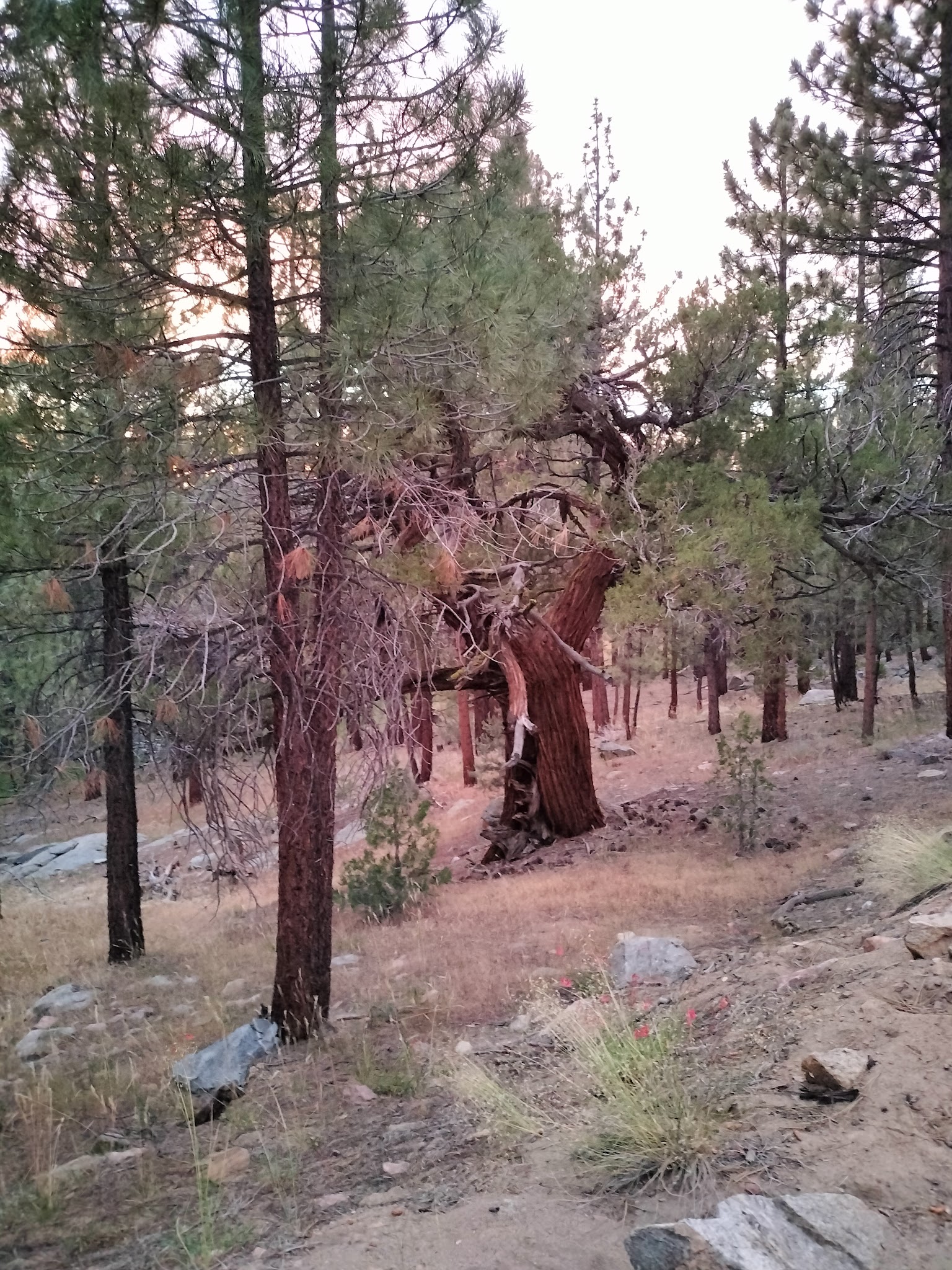 Fish Creek Campground