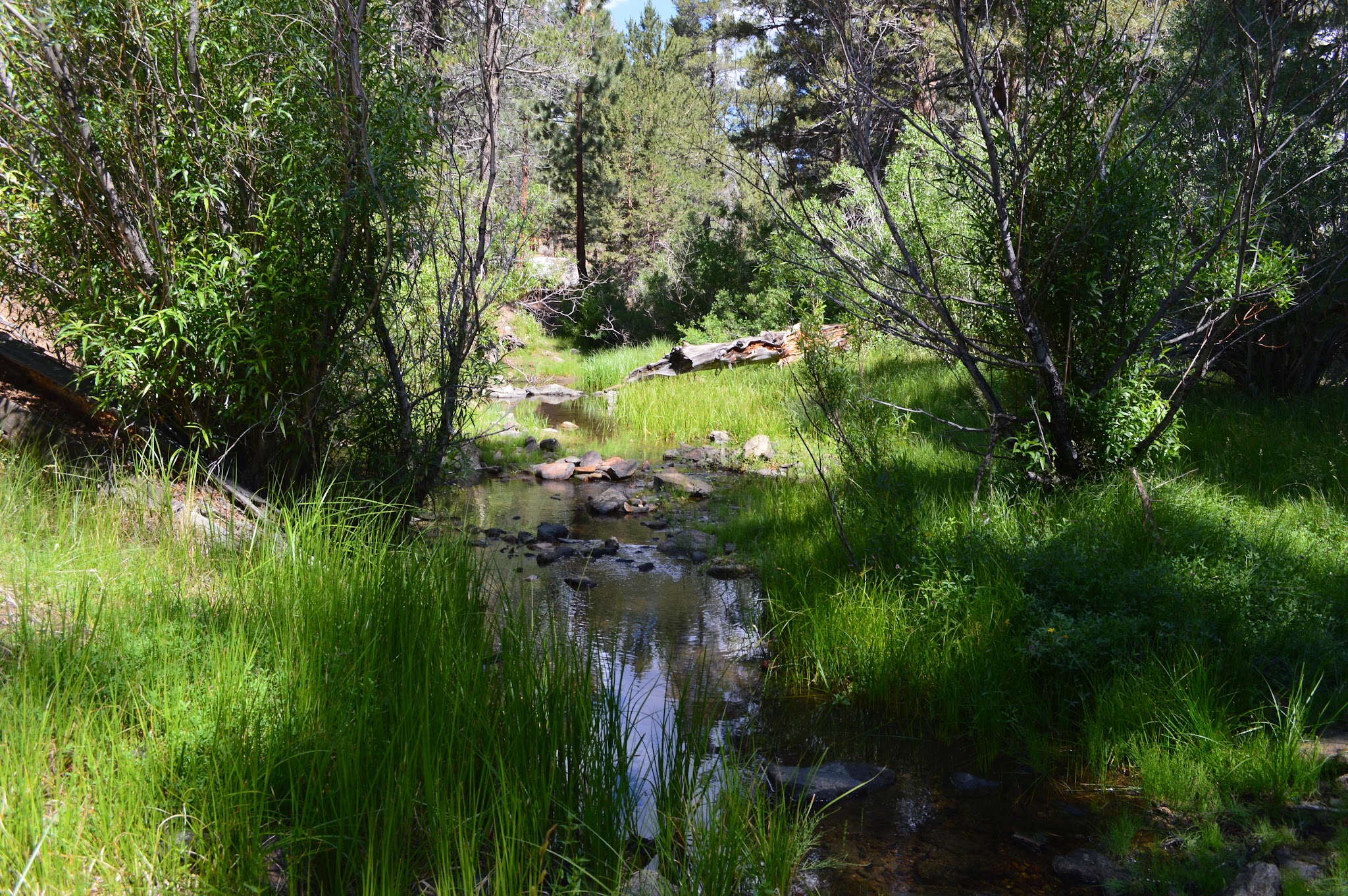 Fish Creek Campground